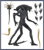 Xenomorph XX121 from Alien - Alien: Romulus - Ultimate Collection manufactured by Neca [Loose]