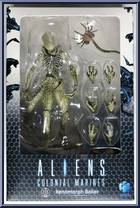 Xenomorph Boiler from Aliens - Basic Series manufactured by Hiya Toys [Front]