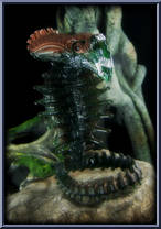 Snake Alien