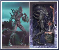 Alien Warrior (Brown) from Aliens - Ultimate Collection manufactured by Neca [Front]