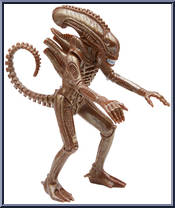 Warrior Alien (Stealth)