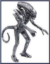 Warrior Alien
