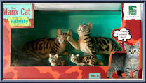 Manx Cat Family Action Figure