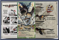 Saurornitholestes langstoni from Beasts of the Mesozoic - Raptor Series manufactured by Creative Beast Studio [Back]