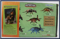 Sinoceratops zhuchengensis from Beasts of the Mesozoic - Ceratopsian Series manufactured by Creative Beast Studio [Back]