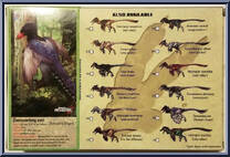 Zhenyuanlong suni from Beasts of the Mesozoic - Raptor Series manufactured by Creative Beast Studio [Back]