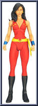 Donna Troy from DC Universe Classics - Wave 13 manufactured by Mattel [Loose]