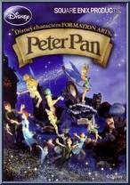 Hook from Formation Arts - Peter Pan manufactured by Square Enix [Front]