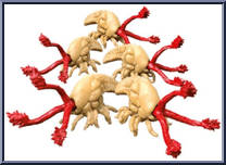 Flood (Infection Forms) from Halo - Blind Bags - Series 11 - Clash on the Ring manufactured by Mega Bloks [Loose]