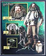 Hagrid from Harry Potter and the Order of the Phoenix - 10" Figures manufactured by Neca [Back]