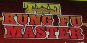 Kung Fu Master (Cititoy)