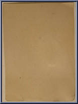 Gray Warrior from Lazerforce - Basic Series manufactured by Sungold [Back]