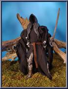 Witch King Ringwraith from Lord of the Rings - Two Towers - 12" Special Edition Collector Series manufactured by Toy Biz [Loose]