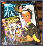 Storm from Marvel - Famous Covers - Famous Covers manufactured by Toy Biz [Front]