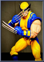 Wolverine from Marvel Legends - Infinite Series - Marvel 85th Anniversary manufactured by Hasbro [Loose]