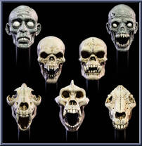 Undead Heads Pack from Mythic Legions - All Stars - Accessories manufactured by Four Horsemen [Loose]