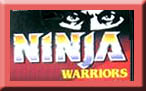 Ninja Warriors - Enemies of Evil