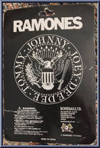 Pinhead Skull from Ramones - Basic Series manufactured by Bonebad [Back]