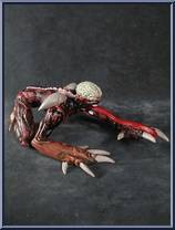 Leon Kennedy / Licker from Resident Evil 2 - Basic Series manufactured by Toy Biz [Licker]