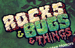 Rocks & Bugs & Things
