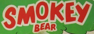 Smokey Bear (Lakeside Toys)