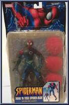 Spider-Man (Soak 'N Toss) from Spider-Man - Web Splashers - Series 2005 manufactured by Toy Biz [Front]