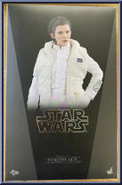 Princess Leia Action Figure