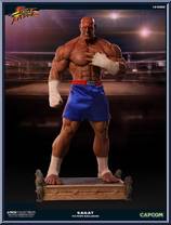 Sagat (Victory EX) from Street Fighter - Basic Series manufactured by Pop Culture Shock Collectibles [Loose]
