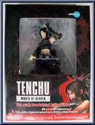 Ayame from Tenchu - Wrath of Heaven manufactured by Kotobukiya [Front]