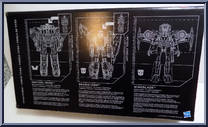 Titan Force from Transformers - Titans Return - Exclusives manufactured by Hasbro [Back]