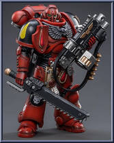 Brother Sergeant Ranian (Intercessor) Action Figure