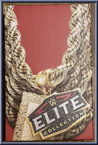 Mr. T from WWE Elite Collection - Exclusives manufactured by Mattel [Front]