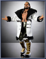 Seth "Freakin" Rollins from WWE Elite Collection - Top Picks - 2025 manufactured by Mattel [Loose]