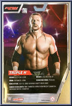 Triple H (DX 2005) from WWE Elite Collection - Exclusives manufactured by Mattel [Back]