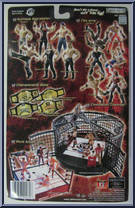 Stone Cold Steve Austin from WWE Pay Per View - Series  1 - Bad Blood manufactured by Jakks Pacific [Back]