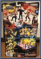 Randy Orton from WWE Ruthless Aggression - Series  1 manufactured by Jakks Pacific [Back]