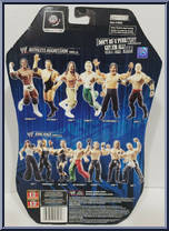 Kenny from WWE Ruthless Aggression - Series 24 manufactured by Jakks Pacific [Back]