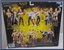 Zack Ryder / Edge / Curt Hawkins from WWE Treacherous Trios - Series  8 manufactured by Jakks Pacific [Back]