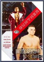 Gunther from WWE Ultimate Edition - Series 22 manufactured by Mattel [Back]