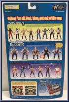 Road Dogg Jesse James from WWF Special Edition - Series 4 manufactured by Jakks Pacific [Back]