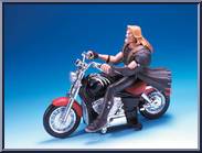 Sabretooth from X-Men - Evolution - Bump 'N Go manufactured by Toy Biz [Loose]