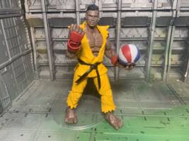Sean (Street Fighter) (Street Fighter) Custom Action Figure
