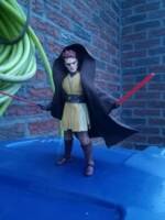 Anakin Skywalker (Star Wars) Custom Action Figure