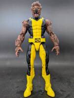 Wolfcub (Young X-Men) (Marvel Legends) Custom Action Figure
