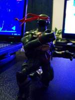 Raphael (Teenage Mutant Ninja Turtles) Custom Action Figure