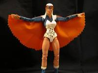 Sorceress of Grayskull (Masters of the Universe) Custom Action Figure