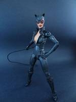 Arkham City Catwoman (Batman - Arkham City) Custom Action Figure