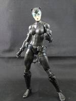 Catwoman (DC Universe) Custom Action Figure