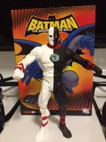 Equinox (DC Universe) Custom Action Figure