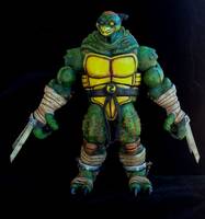 TMNT SLASH Concept (Teenage Mutant Ninja Turtles) Custom Action Figure